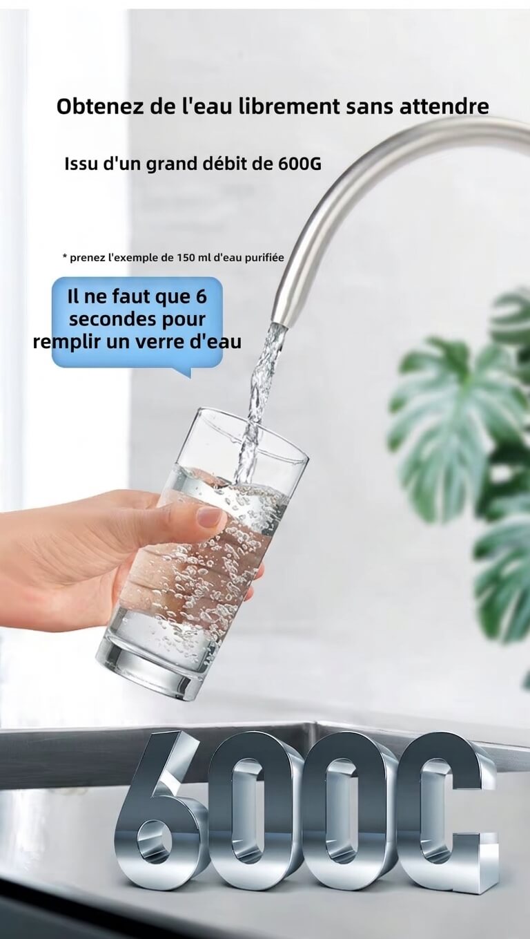 Purificateur d’Eau par Osmose Inverse 600G/800G
